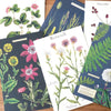 Cavallini | Herbarium Postcards | Conscious Craft